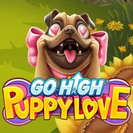 Play Go High Puppy Love slot by RubyPlay on betrepublics.com